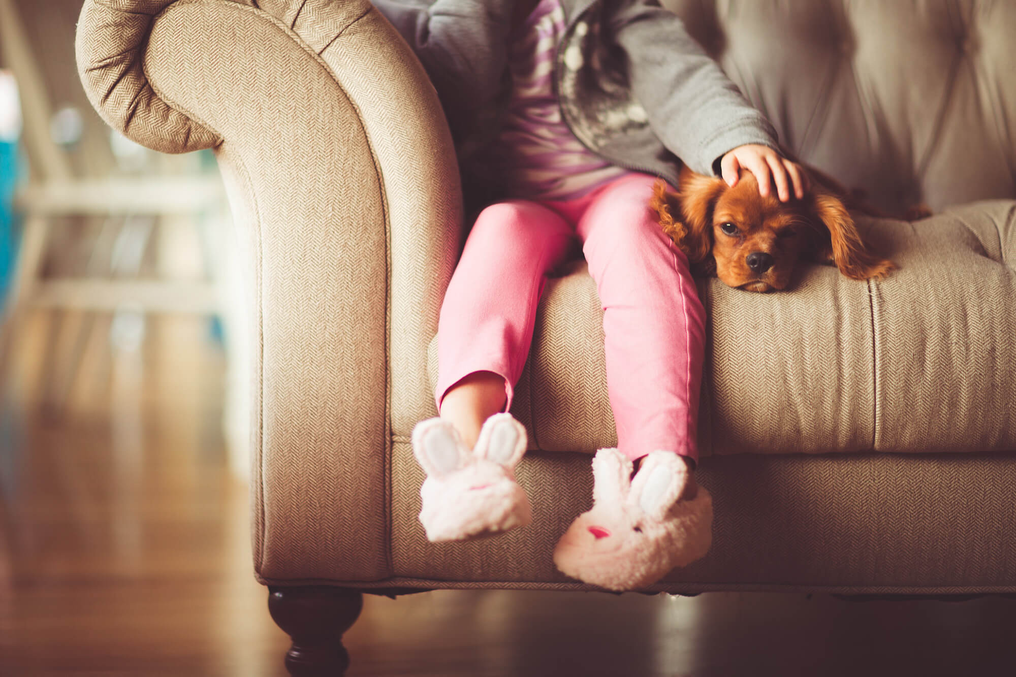 Kid and Dog on Couch