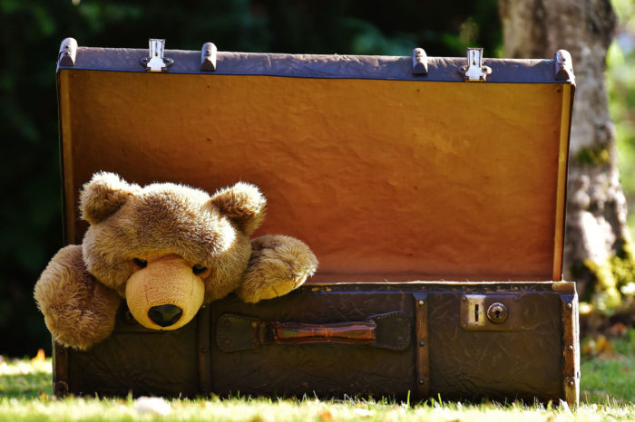 Teddy in Luggage