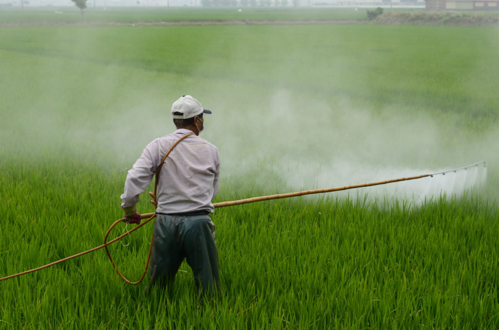 Spraying Herbicides
