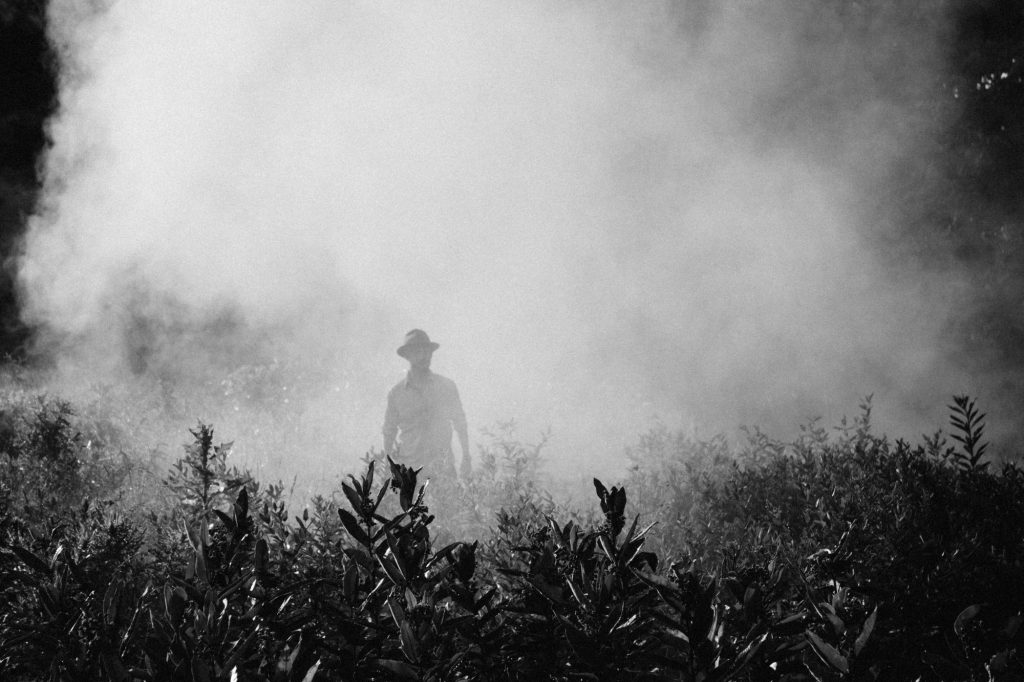 Man in the Chemical Fog of Insect Repellant