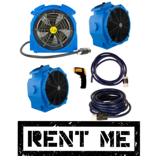 Equipment Rentals Rox Bugs